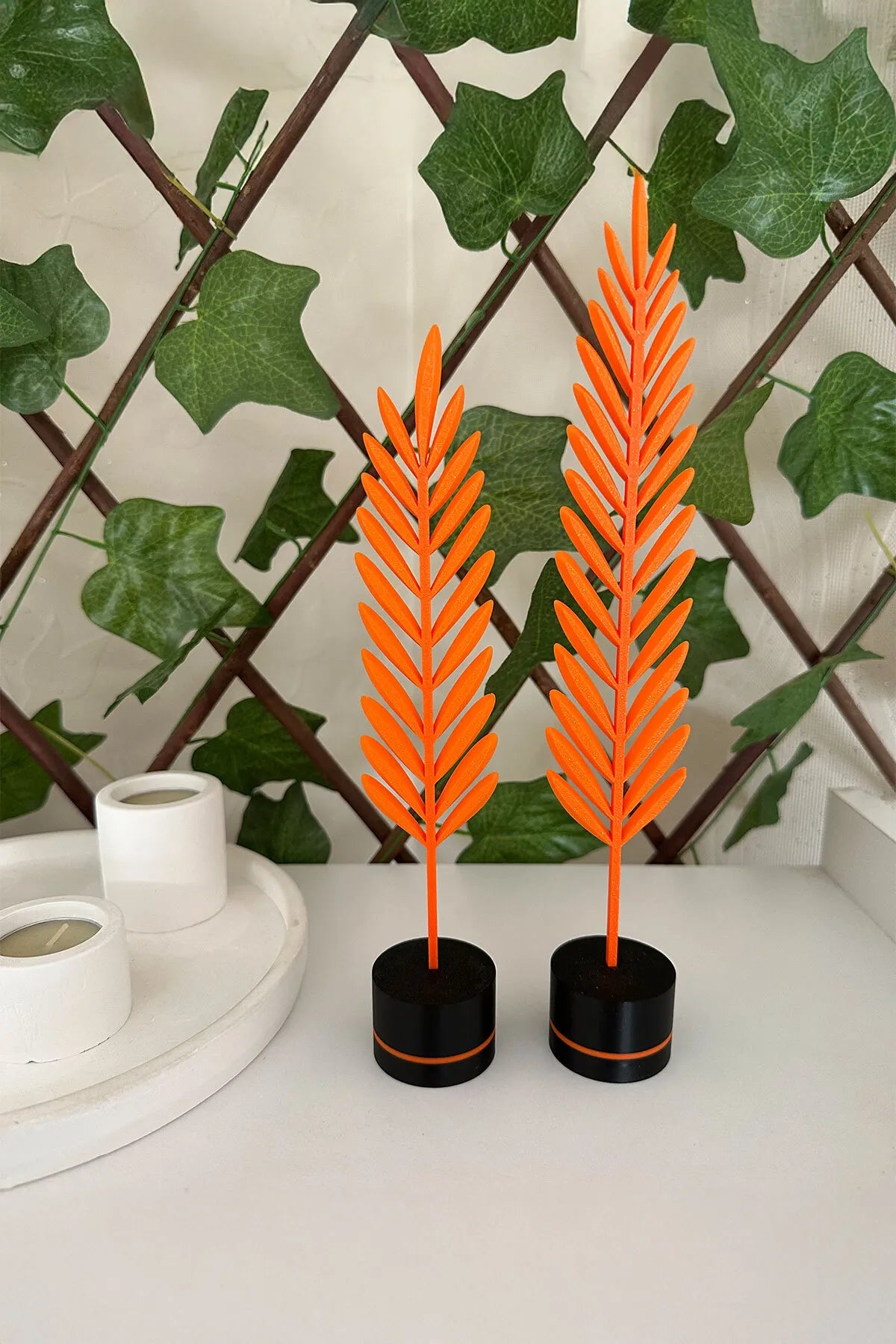 Modern Minimalist Doğa Temalı Yaprak Seti