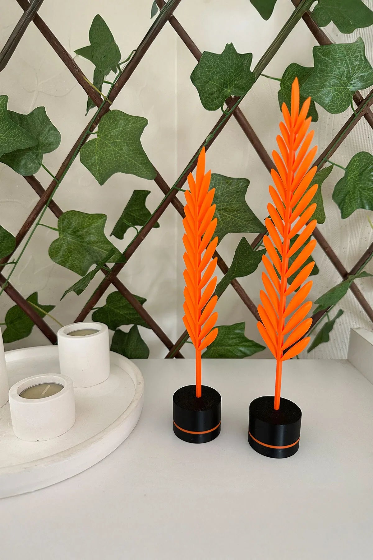 Modern Minimalist Doğa Temalı Yaprak Seti